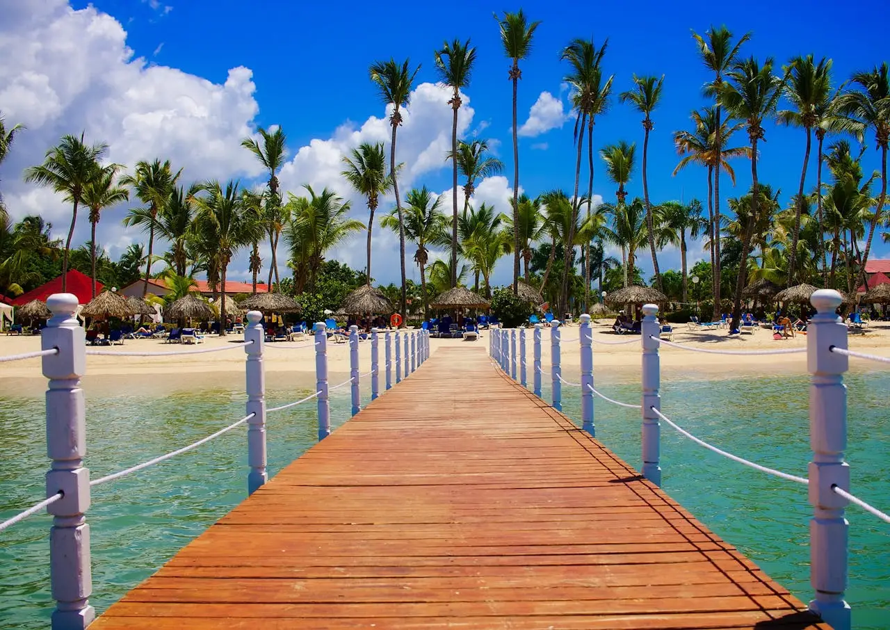 View of Palm Trees on Beach