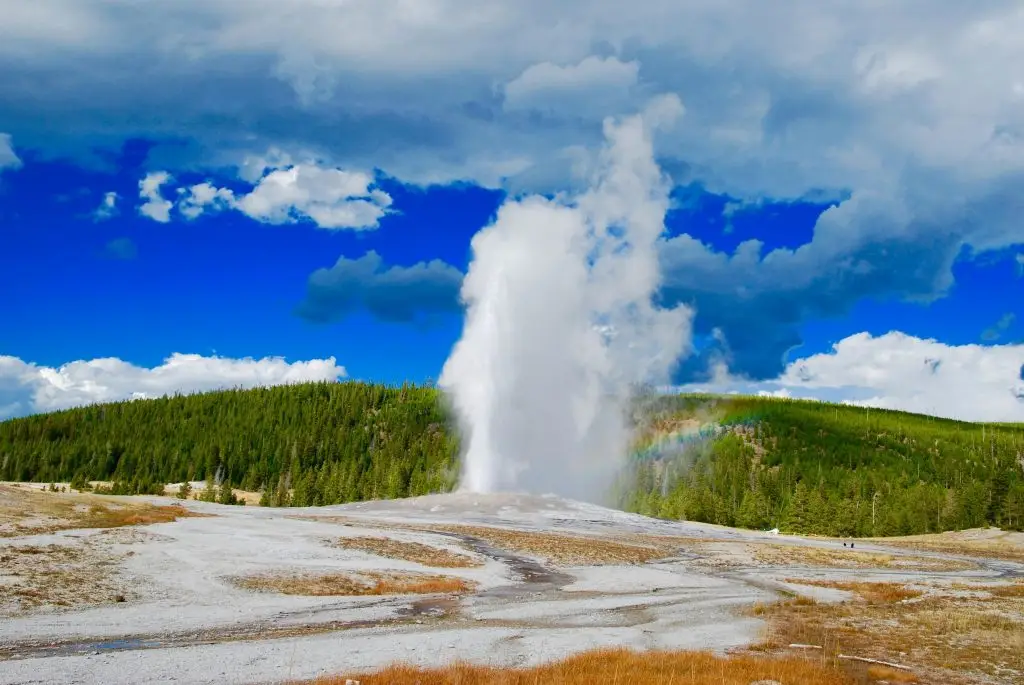 Breathtaking view of a geyser eruption with blue skies and lush greenery in Yellowstone National Park.