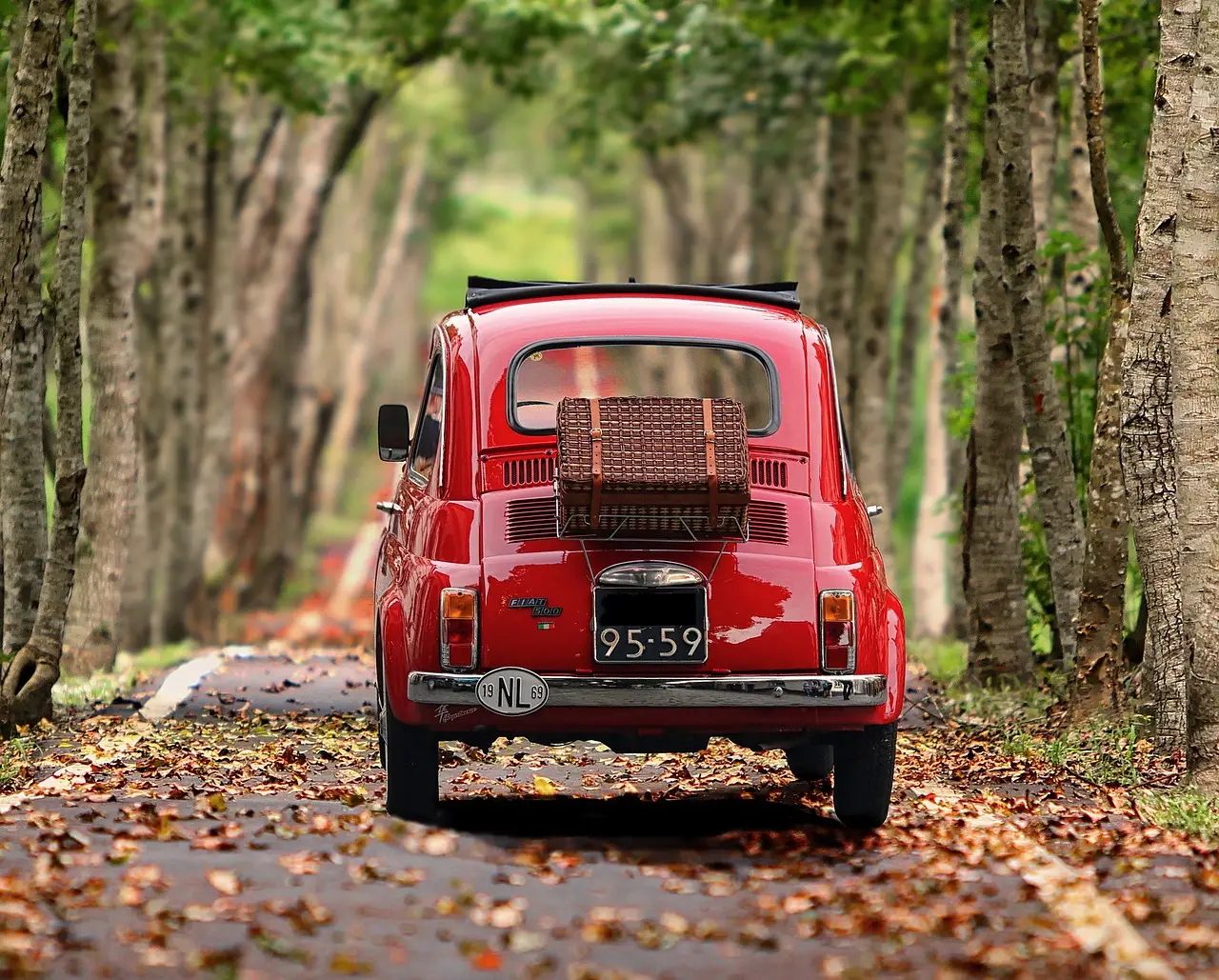 fiat 500, automobile, trees, antique car, vehicle, classic, italy, nostalgia, car, small car, motor vehicle, avenue, road, path, car, car, car, car, car wallpapers, nature, car