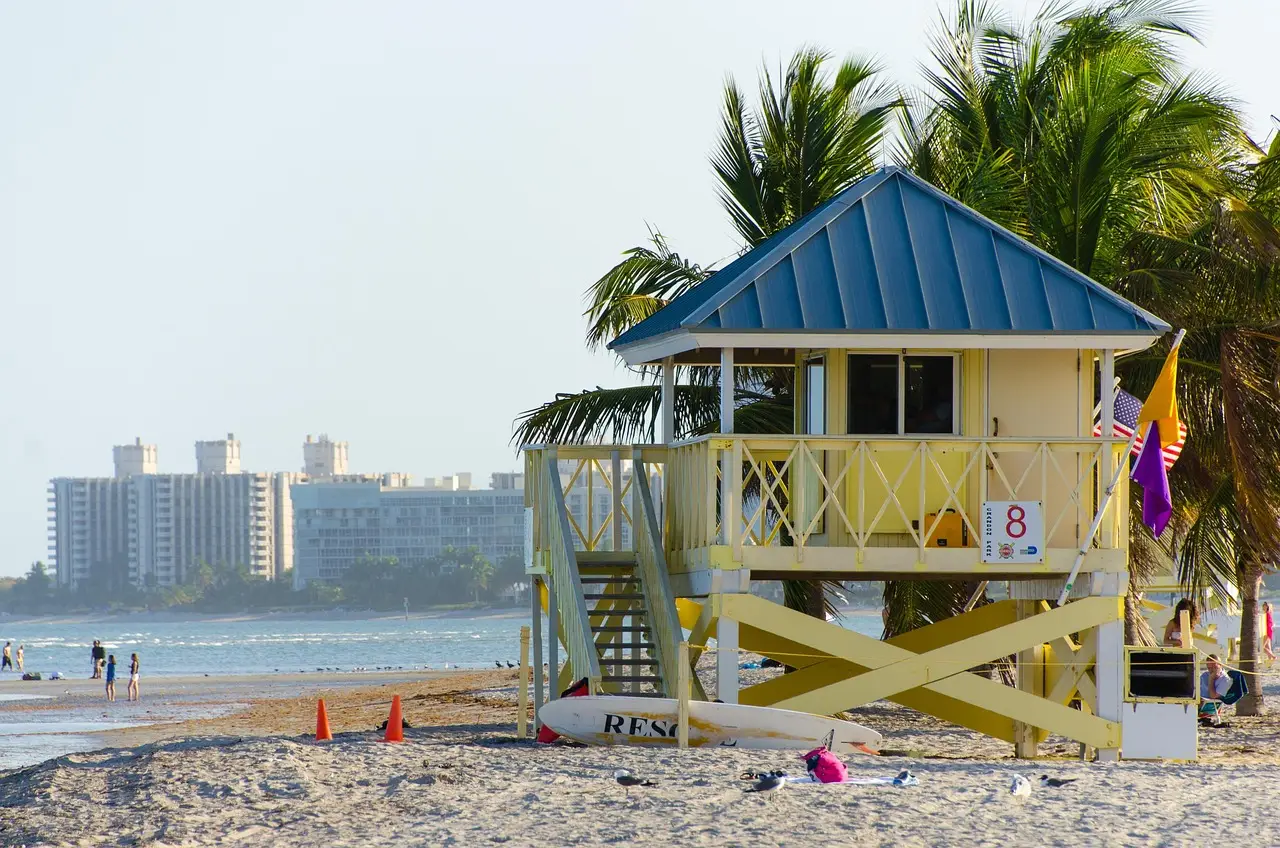 beach, miami, crandon park beach, key biscayne, nature, summer, ocean, florida, miami beach, bay, tourism, miami florida, waterfront, tropical, palm, miami, miami, miami, miami, miami, florida, miami beach, miami beach