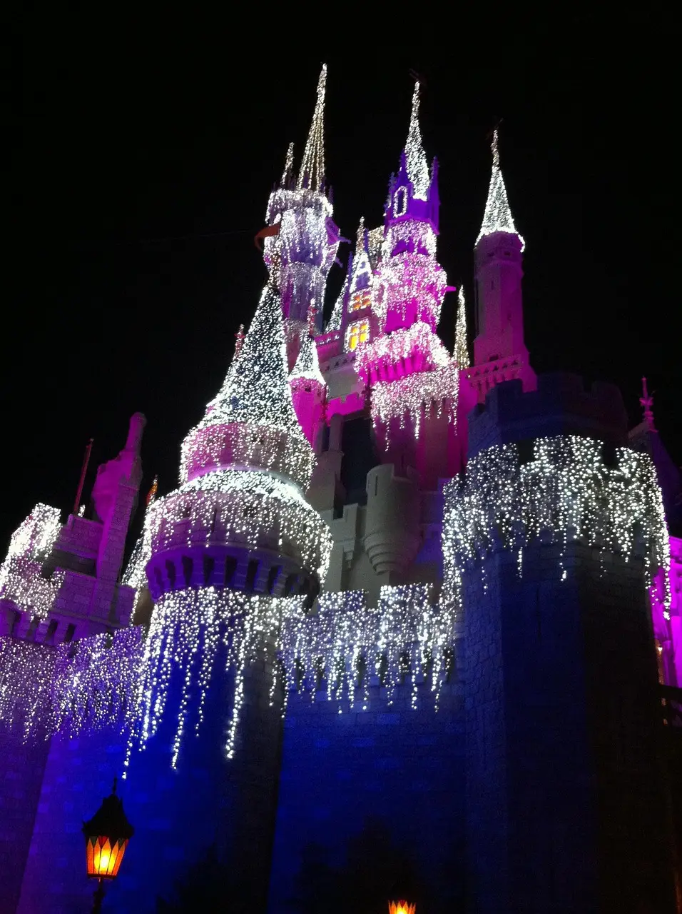 disney world, cinderella's castle, orlando florida, amusment park, vacation, childhood, attraction, people, child, nature, happy, travel, holiday, entertainment, resort, summer, tourism, disney world, disney world, disney world, disney world, disney world